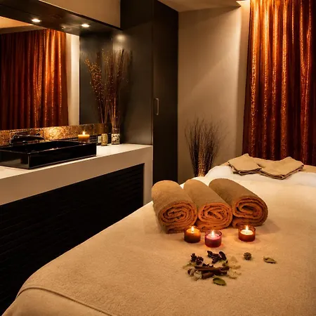 Vitosha Park - Free Pool & Gym 4*